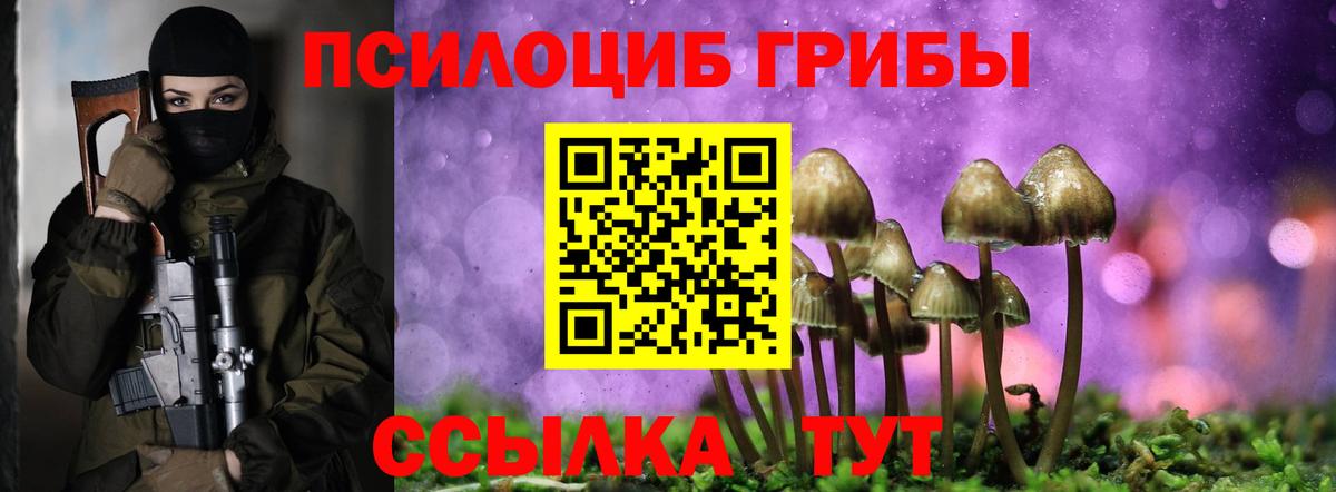Галлюциногенные грибы Magic Shrooms  Вход с VPN  Сланцы 